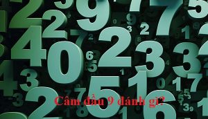 Đầu 9 câm đánh đề con gì, số mấy?